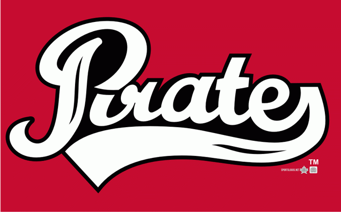 Portland Pirates 2010 11 Wordmark Logo iron on heat transfer